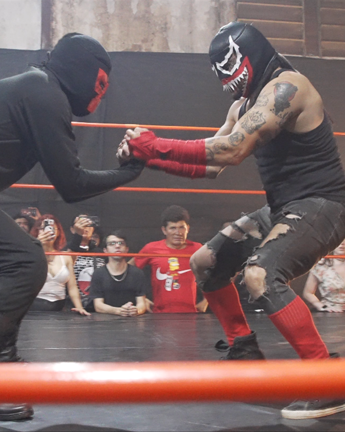 Boyer Bones vs Bufon